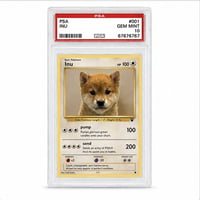 PSA10 INU logo