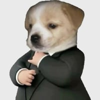 SUITDOG