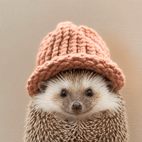 shrubwifhat