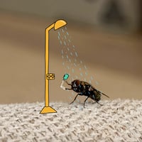 Ani-Mates by Sam Cotton