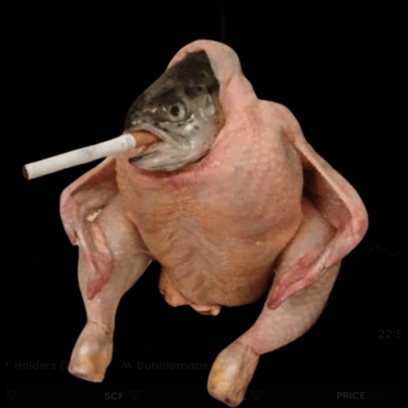 Smoking Chicken Fish