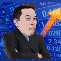 Elon Web Services logo