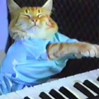Keyboard Cat