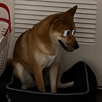 Fomo Inu