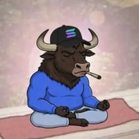 BULLIEVE
