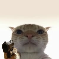 Staring Cat