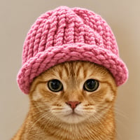 cat wif hat