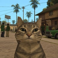 Cat Johnson