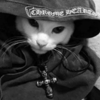 Chrome Cat