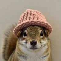 WIFNUT logo