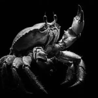 CRAB logo