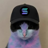 SolanaCat
