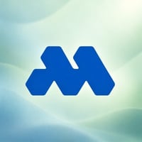 MEMEFIRM logo