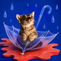 CatwifBrella