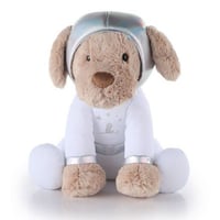 Space Puppy