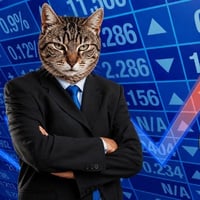 Stonk Cat