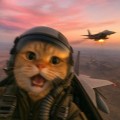 Jet Cat