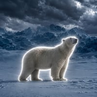 The Nietzschean PolarBear