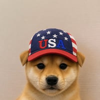 United States Dog Coin