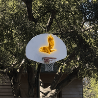 Larry Bird