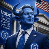 USDC BULL