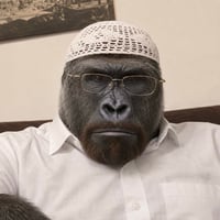 HARAMBE