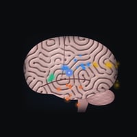 BRAIN logo