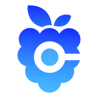 Berry Finance