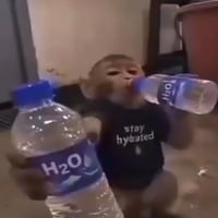 APE₂O logo