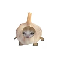 garlic cat