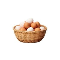 put all ur eggs in one basket. logo
