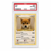 PSA10 INU logo