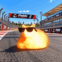 Pablo the Race Cat