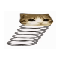boing cat