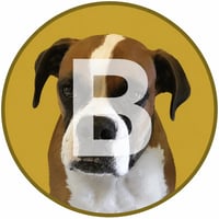 BAILEY