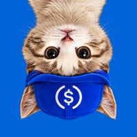 UpSideDownCat