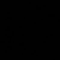 VOID logo