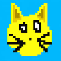 Solana Cat