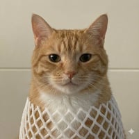 wrapped cat logo