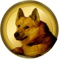 doge 2