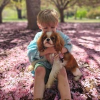 Millie the heart dog