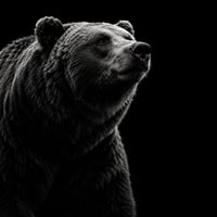 BEAR logo