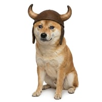 The Bull Doge
