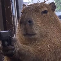 Capybara With A Gun