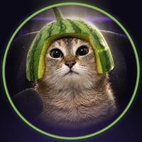 CLAVCAT logo