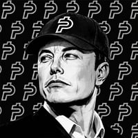 elon wif paid