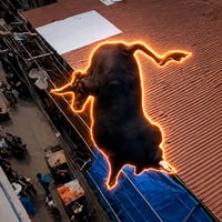 Delusional Bull
