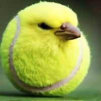 TENNISBIRD