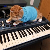KeyboardCat