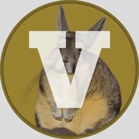 VISCACHA logo